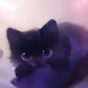 Meet your Posher, Amelia